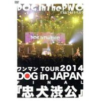ワンマンTOUR　2014　DOG　in　JAPAN　FINAL『忠犬渋公』/ＤＶＤ/RSBD-013